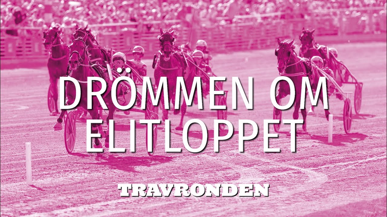 Dr&ouml;mmen om Elitloppet 2025: Vi tr&auml;ffade l&aring;ngv&auml;ga g&auml;sten Brad Hewitt
