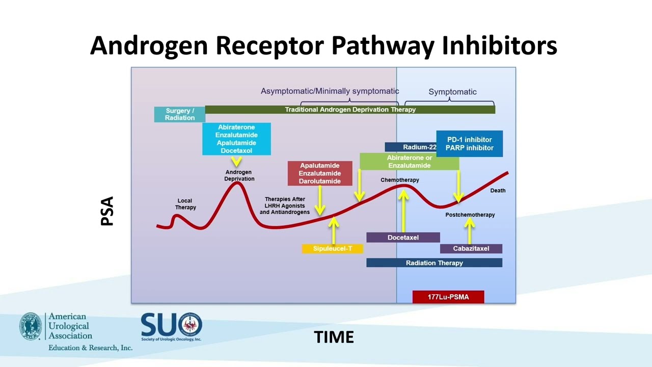 Manipulating the Androgen Axis: New Agents in mHSPC and CRPC