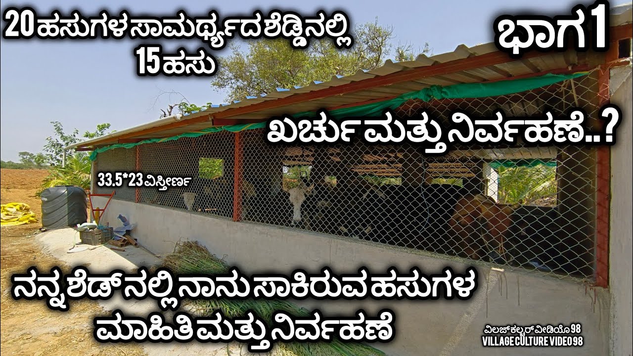 ನಾನು ಸಾಕಿರುವ ಹಸುಗಳ ನಿರ್ವಹಣೆ ಮತ್ತು ಮಾಹಿತಿ | Dairy business plan in India | Dairy farming in karnataka