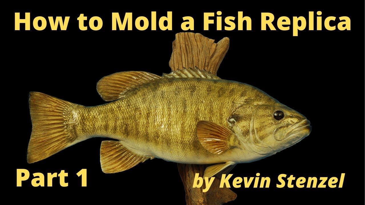 Molding a SM Bass for Fish Replica / Reproduction Taxidermy Part 1