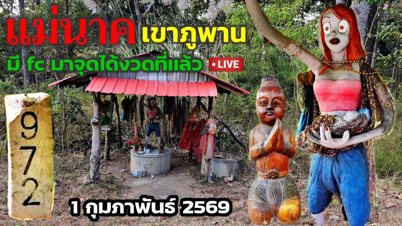ปังสุดๆงวดที่เเล้ว! มี fc มาขอต่อที่นี่!#แม่นาคเขาภูพาน เเตก 3 ตัวตรง 972 ขอต่ออย่าพลาด! 1 ก.พ.69