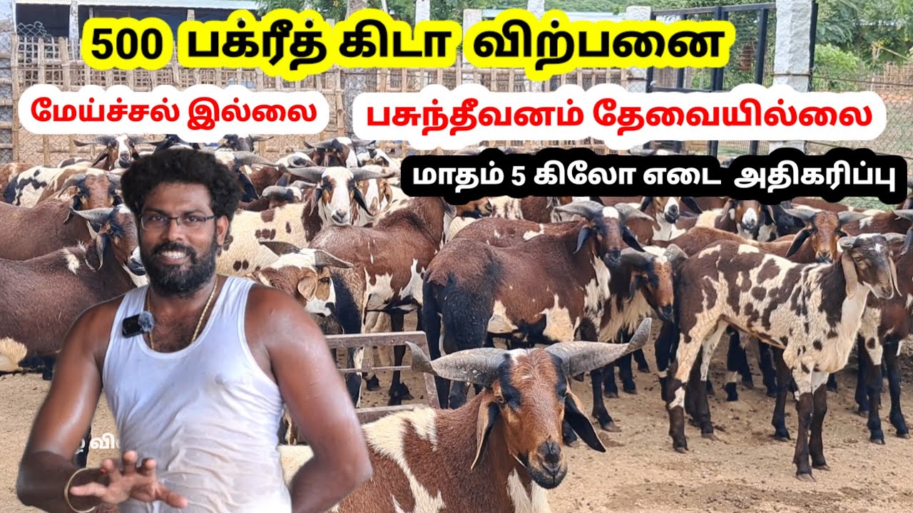 தமிழ்நாட்டின் சிறந்த பண்ணைகளில் ஒன்று / வளர்க்க தெரிந்தால் போதாது, இதுபோல் விற்கவும் தெரிய வேண்டும்