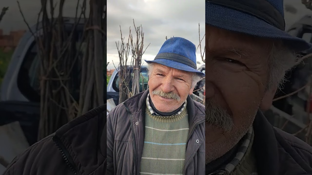 @Entretien avec un paysan producteur et vendeur de plants de figuiers au souk hebdomadaire