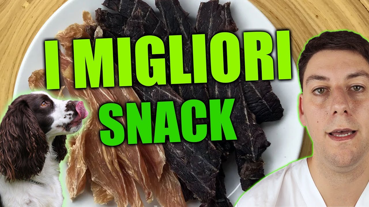 Come scegliere uno SNACK per cani e gatti?