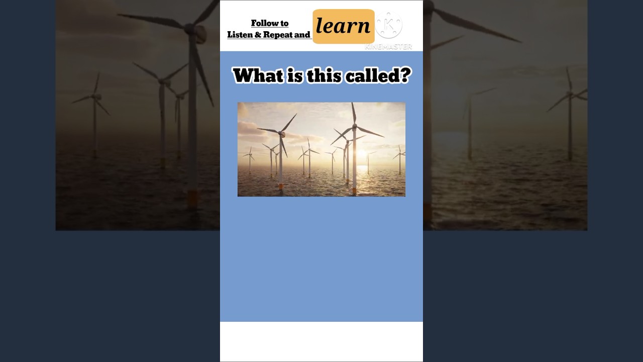 Do you know these words? #englishvocabulary #listenandlearn #trendingshorts