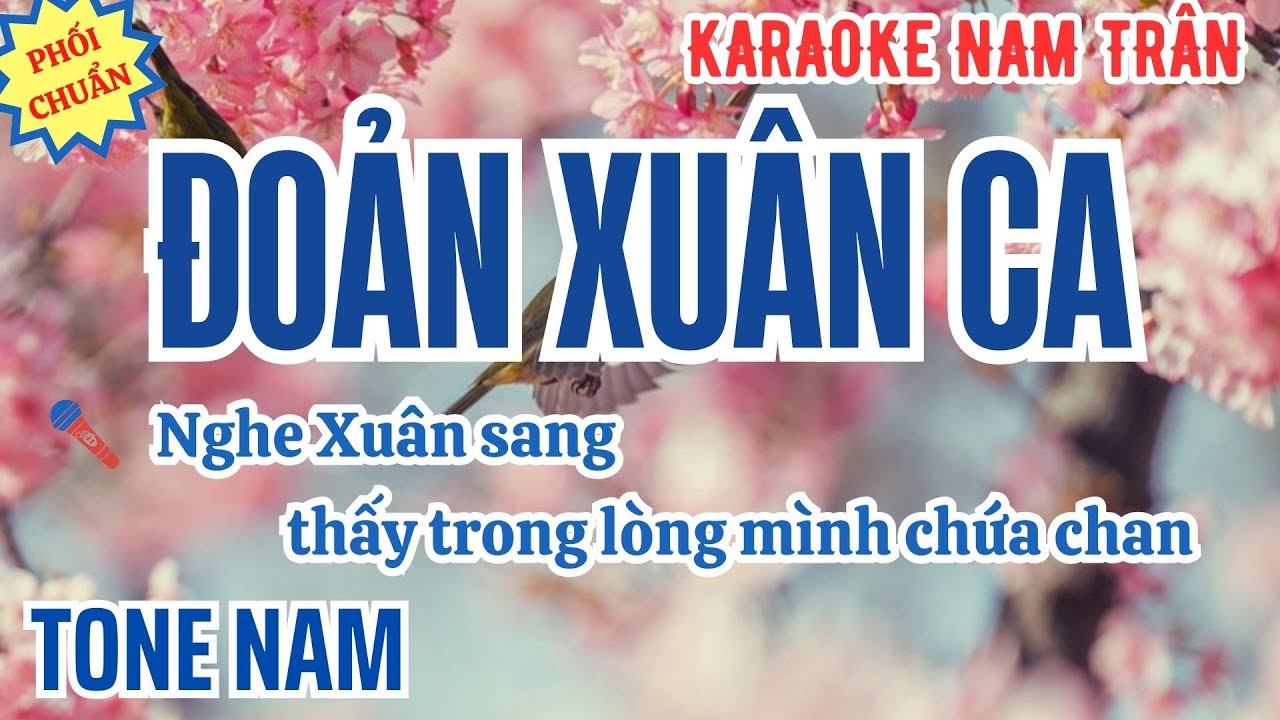 Karaoke Đoản Xuân Ca (Phối Mới Xuân 2025) Tone Nam | Nam Trân