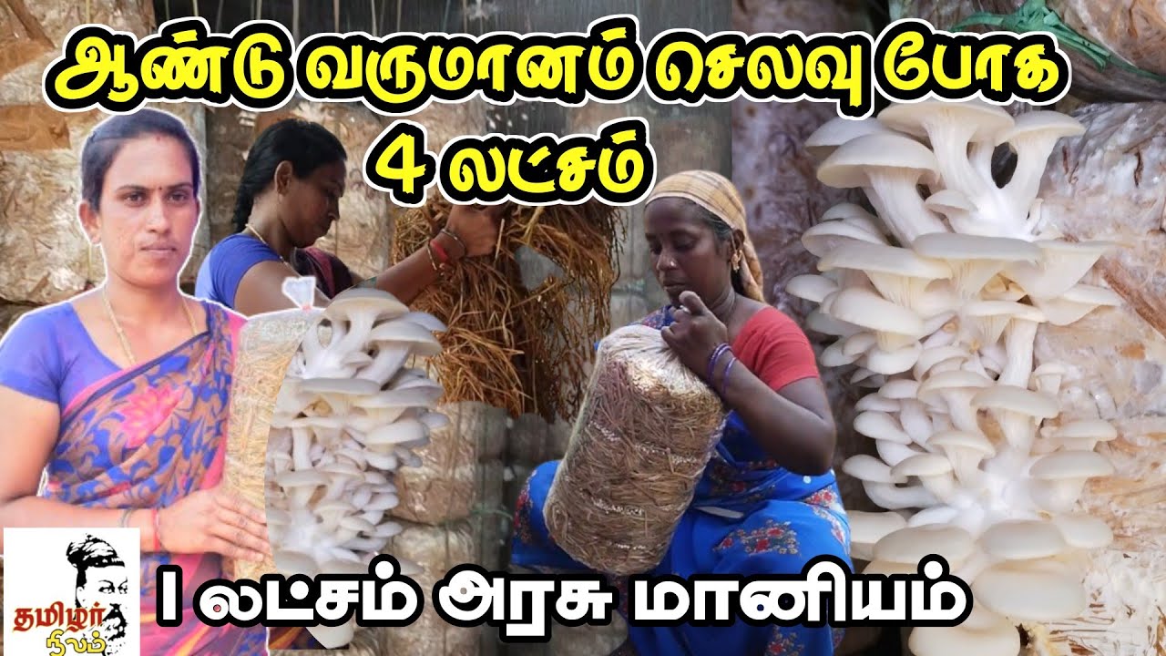 காளான் வளர்ப்பு / வீட்டில் சிறிய இடத்திலும் அமைக்கலாம் /பாதி பணம் அரசு மானியம் தரும்