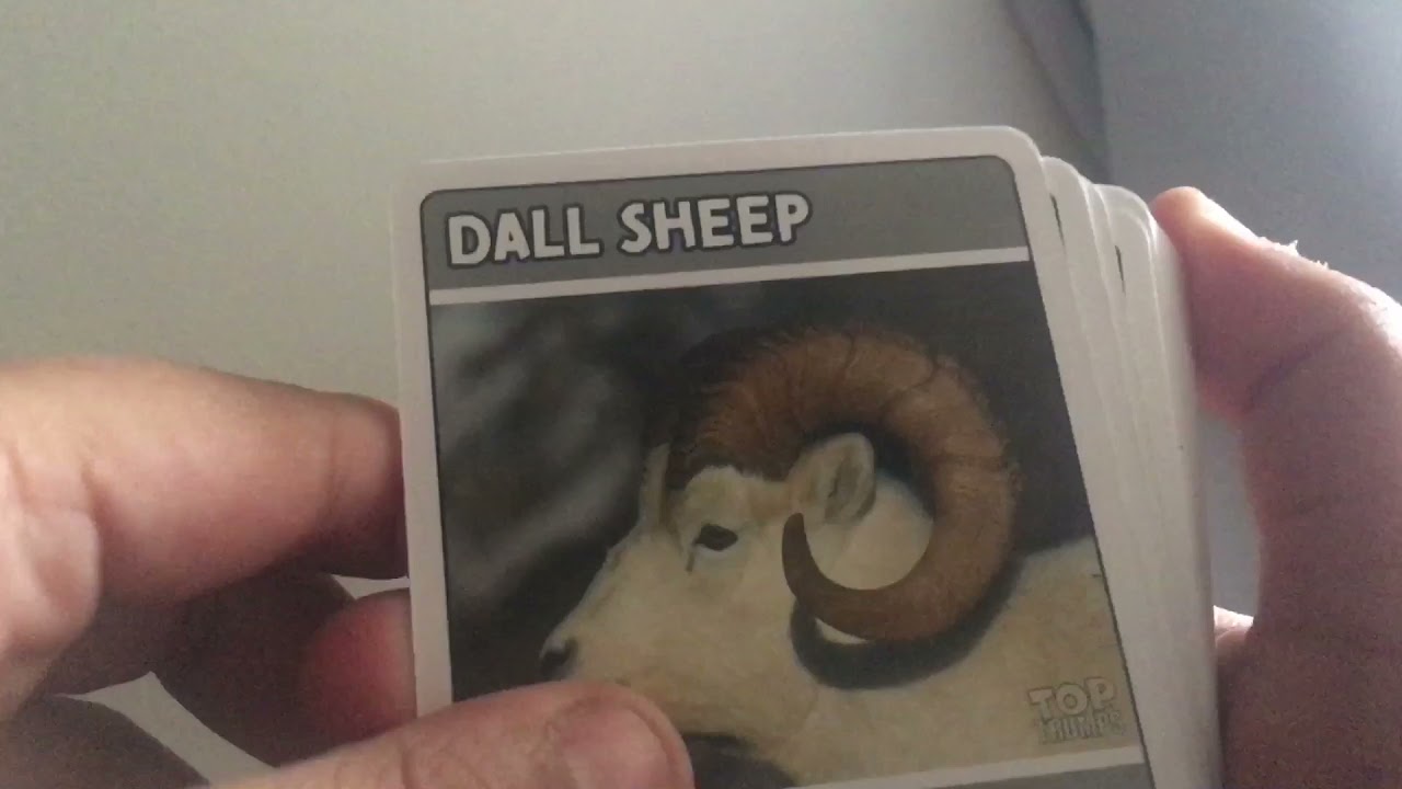 Opening a artic animal top trump pack
