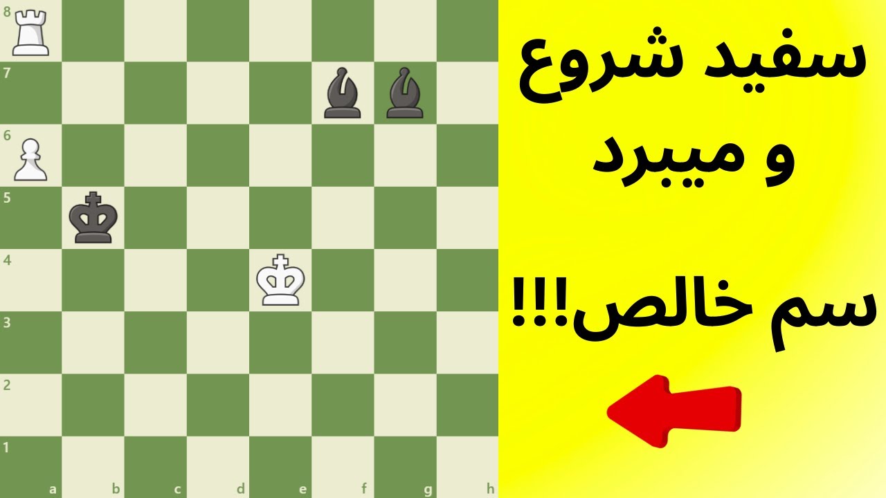 !!!سفید شروع و میبرد،،، سم خالص l White Wins, Net Beauty