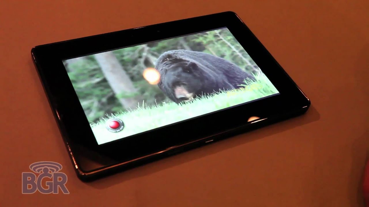 BlackBerry PlayBook Demo