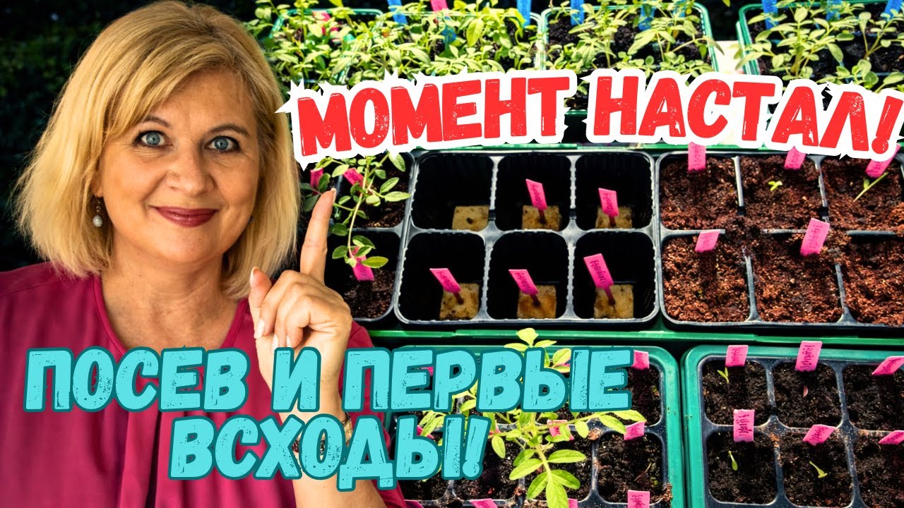 СЕЮ МОИ ЛУЧШИЕ ТОМАТЫ!!!❤️❤️❤️👌СТРАННЫЕ НАБЛЮДЕНИЯ ПО ВСХОДАМ!!😳🪴🪴🪴Эксперимент продолжается!🍅🔥