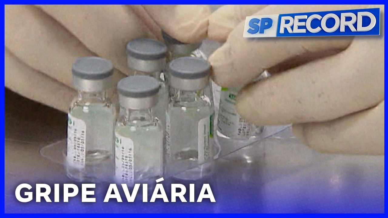 SP Record: Rio Preto inicia testes de vacina pré-pandêmica contra a gripe aviária