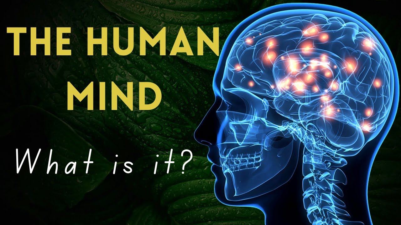The Human Mind: Evolution, Biology, and Its Incredible Capabilities