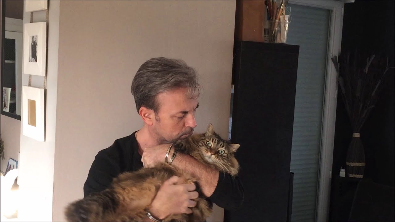 Réalisaton d'un arbre à chat personnalisé...