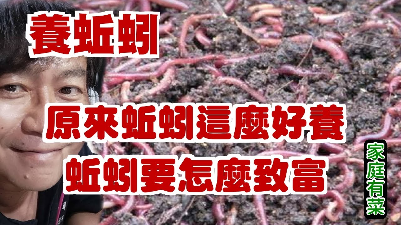 【家庭有菜】養殖蚯蚓的幾個訣竅原來很多人不知道