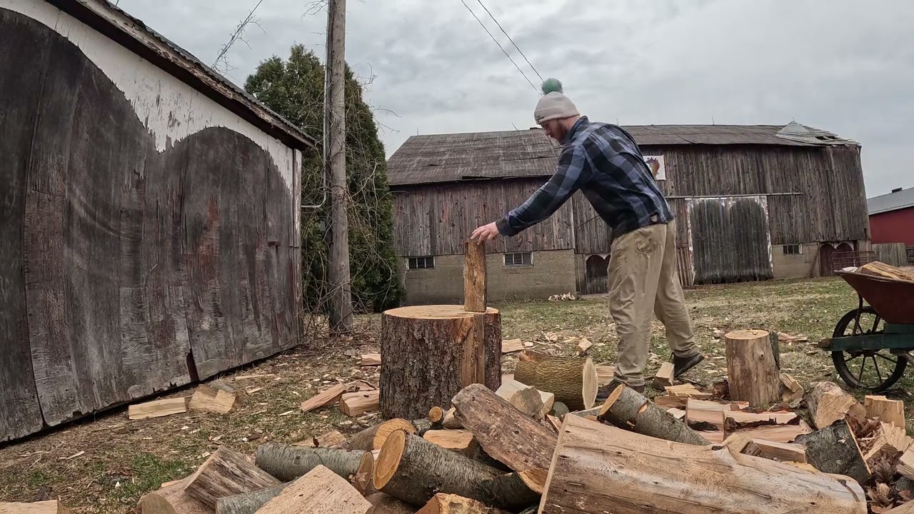 Daily Firewood: Day 48 (part 2)