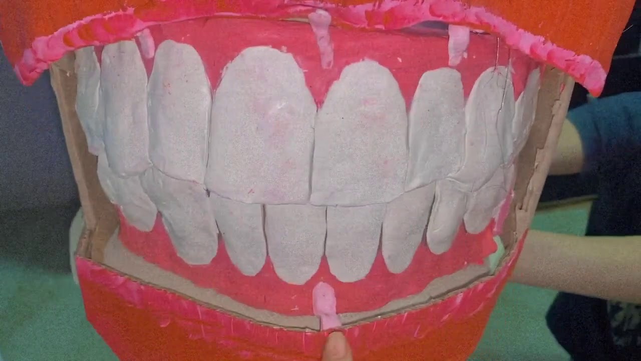 Cavidad Oral