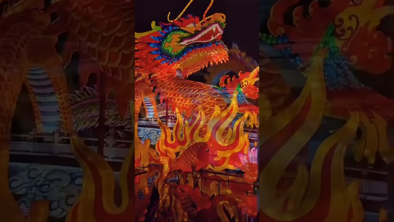 Chinese lantern dragons used in the beautiful night