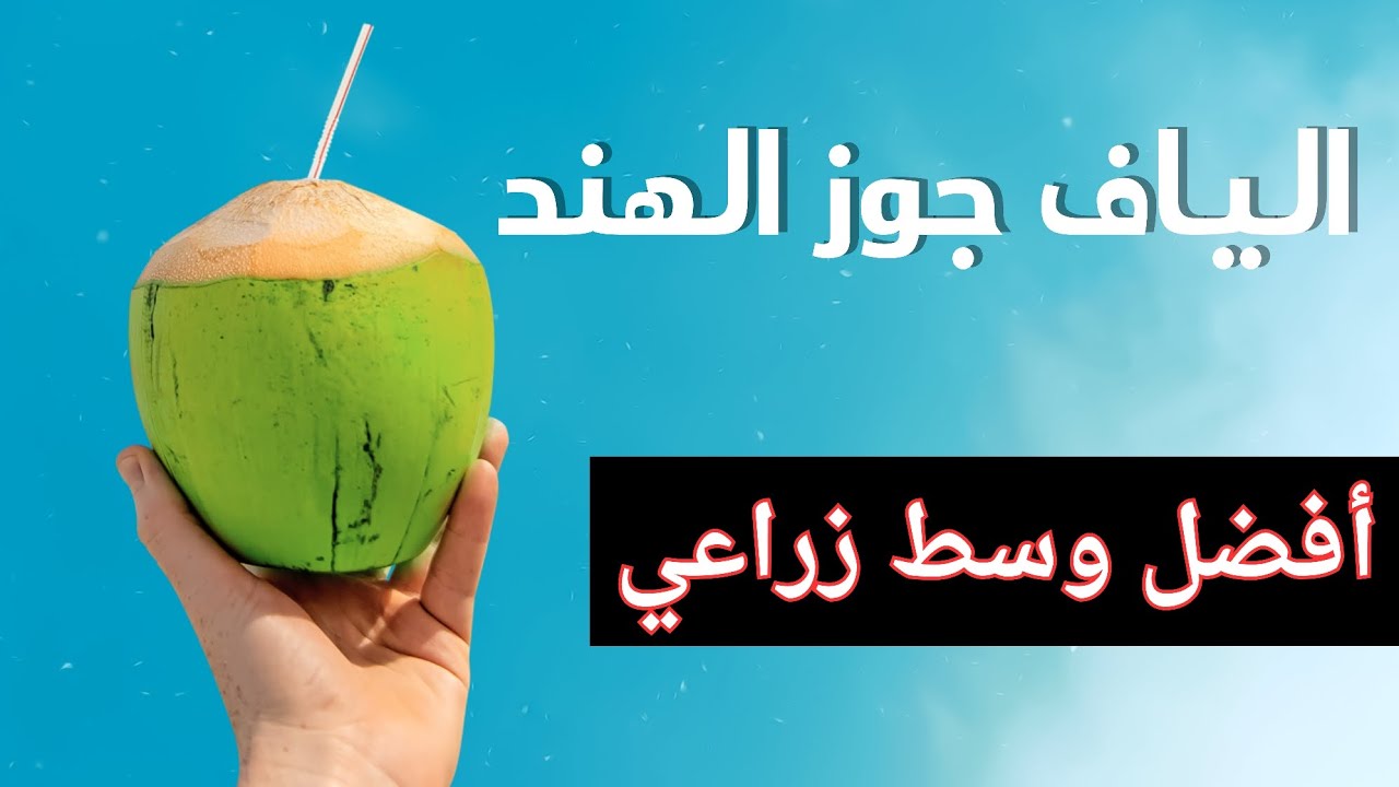 تجربة الياف جوز الهند للزراعة .