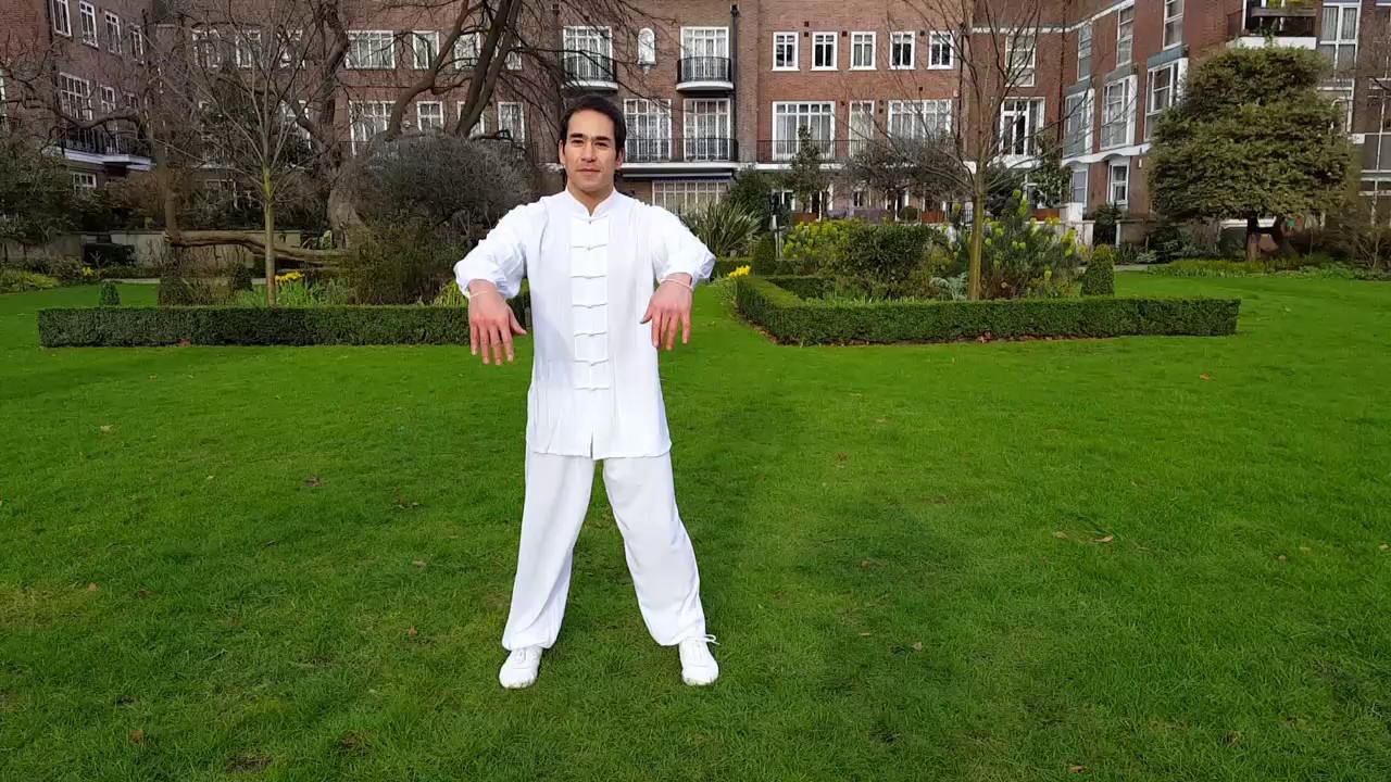 Tai Chi - Chen Opening Segment with Alex Bass