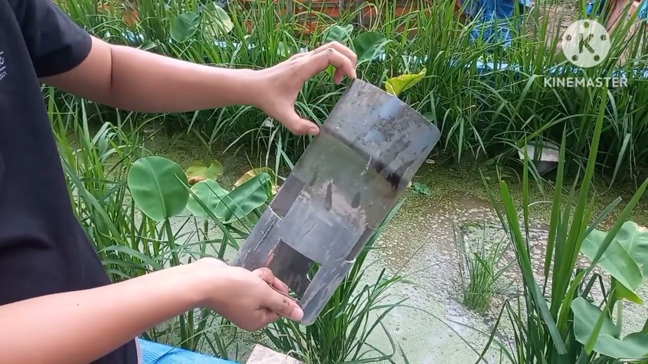 cách đặt ống trong nuôi lươn sinh sản.