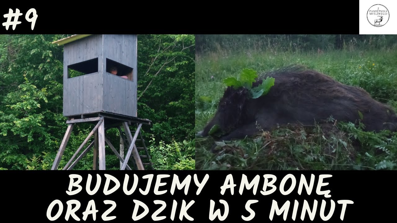 Z Pamiętnika Myśliwego #9 Budujemy ambonę oraz dzik w 5 minut. (Polowanie na dziki/wildboar hunting)