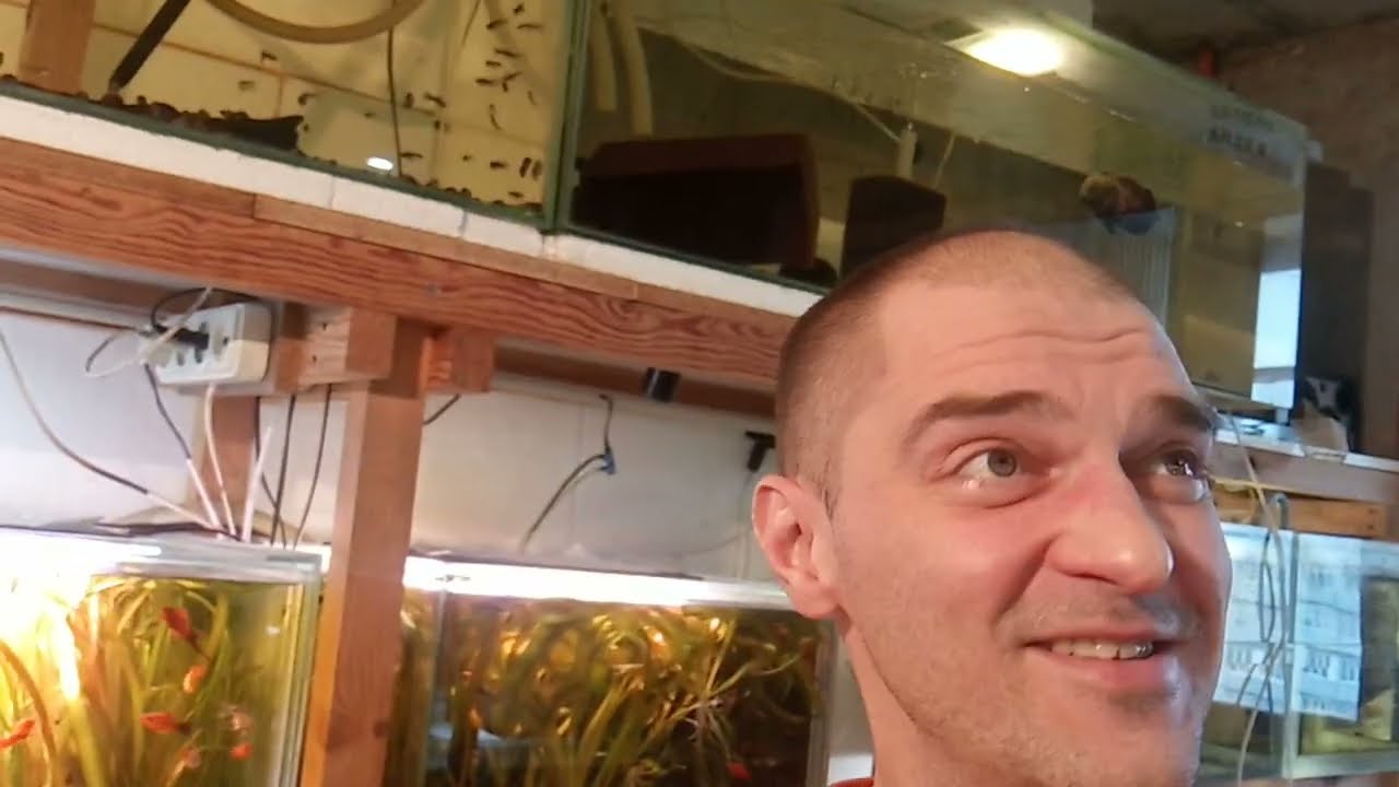 Маленький Обзорчик Наших Рыбок в Аквариумах!!))