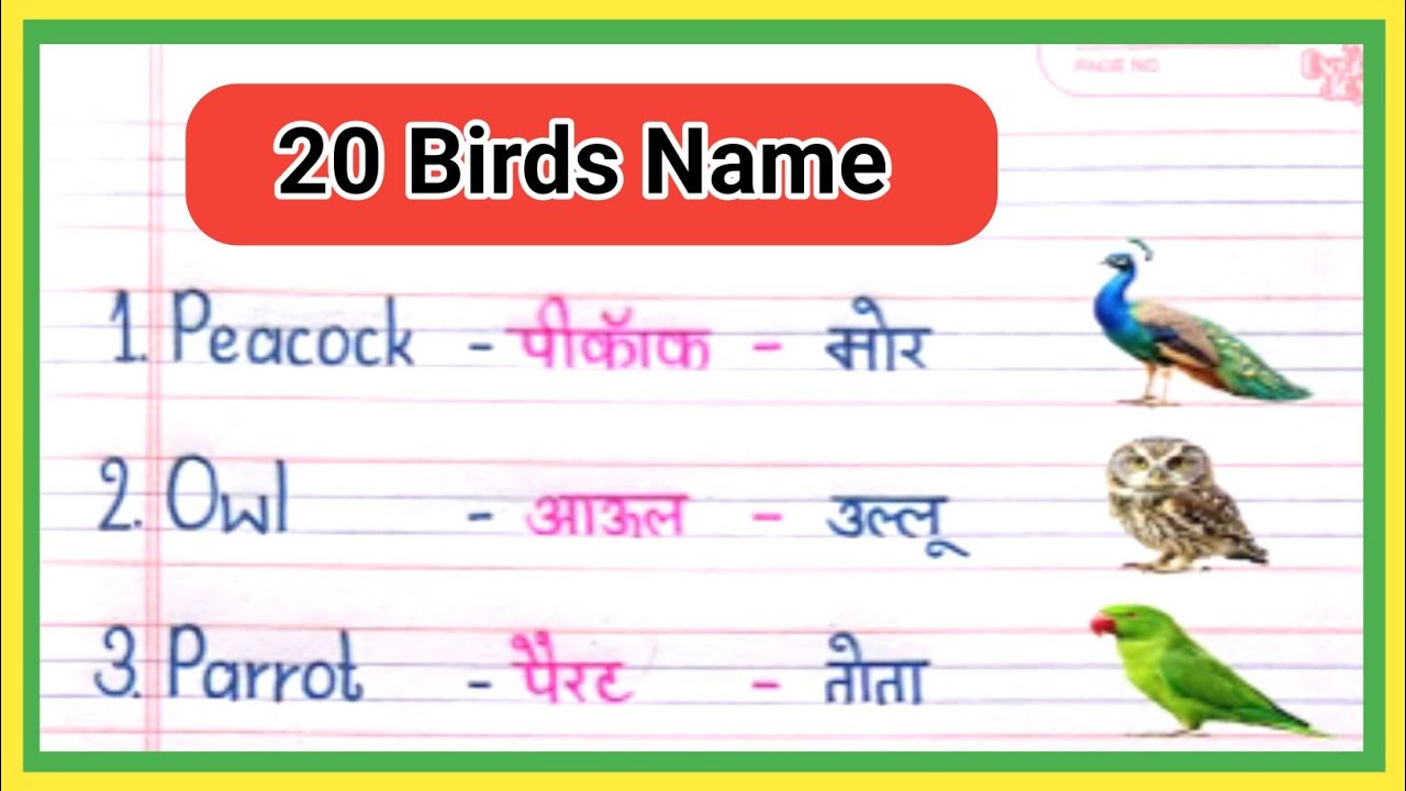 birds names in english and hindi with spelling |पक्षियों के नाम | Birds name in hindi and english