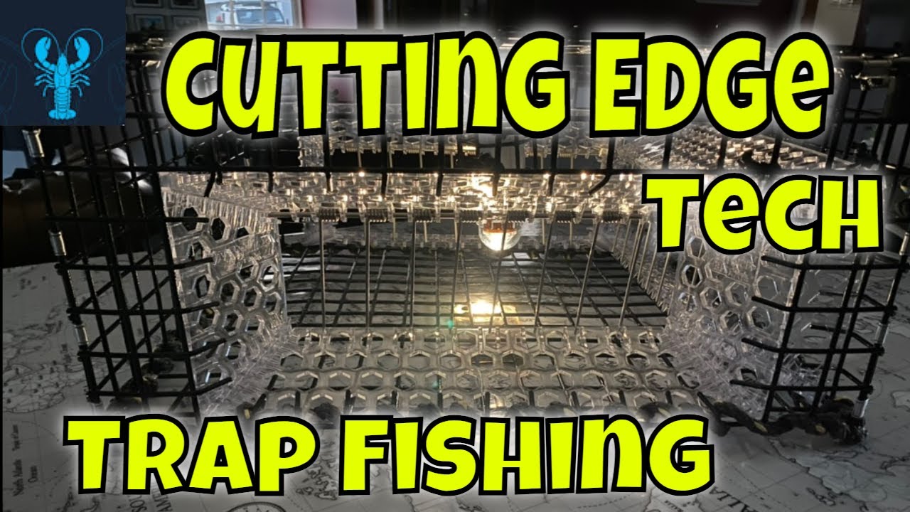Scallops Traps
