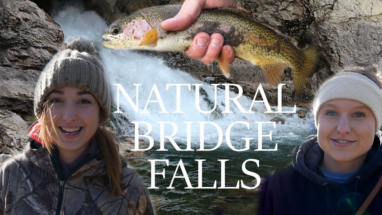 Fishing Natural Bridge Falls?! - Boulder River (Fishing Montana)