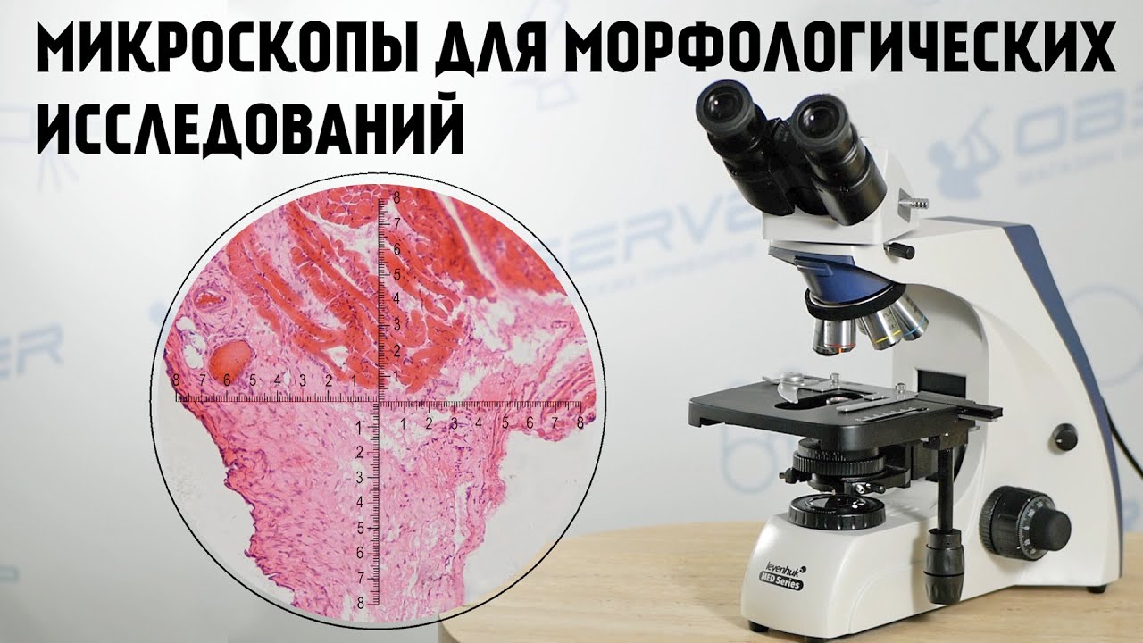 Медицинский микроскоп Levenhuk Med 30/35