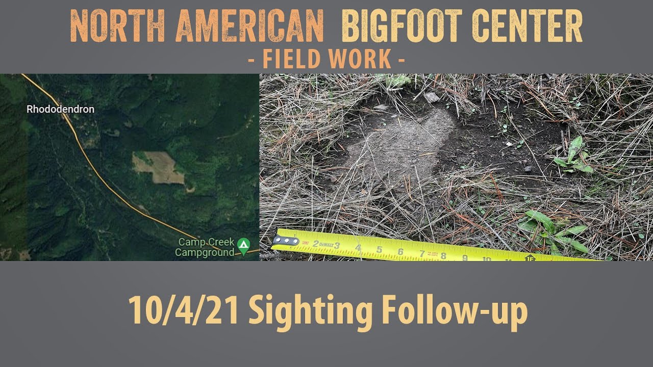 October 4, 2021 Road Crossing Follow-up