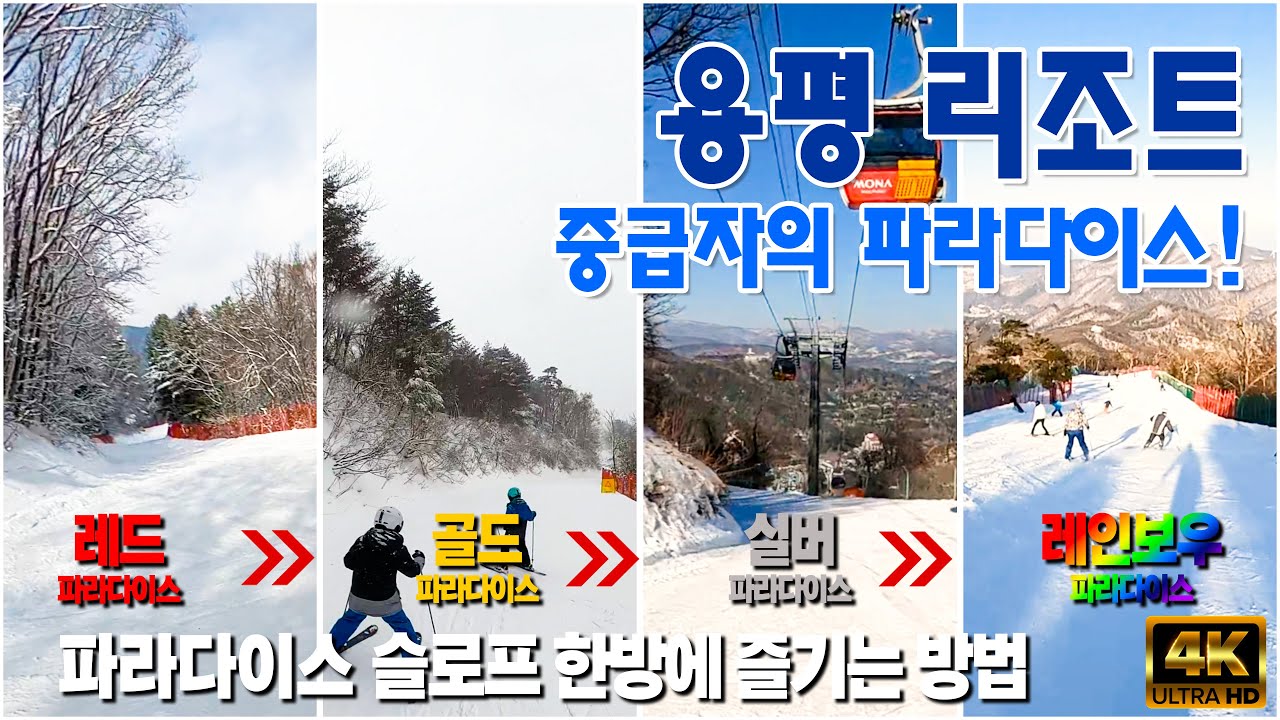 (스키) 중급 스키어, 보더들의 파라다이스 - 용평 리조트 파라다이스 슬로프 시리즈 완전정복! / 레드파라다이스, 골드파라다이스, 실버파라다이스, 레인보우파라다이스