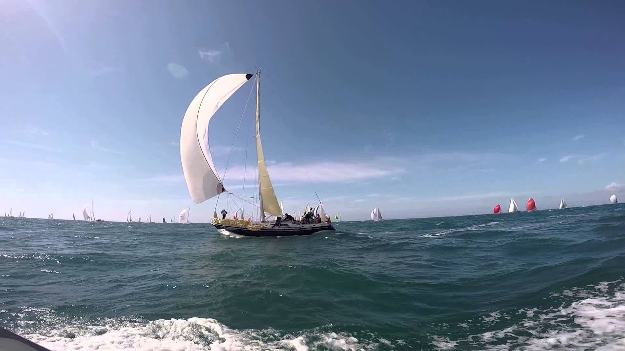WINSOME NED 118 RtIR 2015