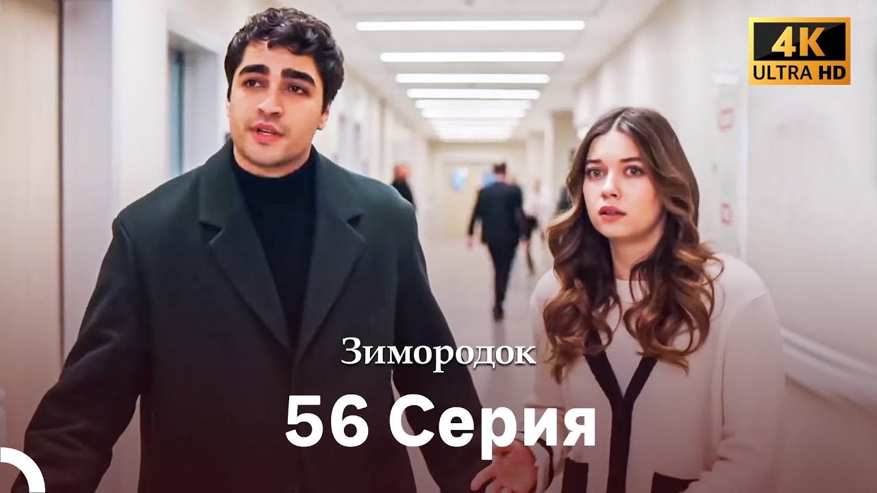 Зимородок 56 Cерия (Русский дубляж) (4K)