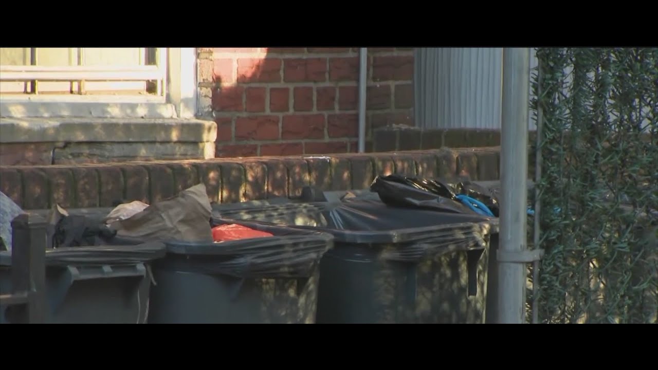 Severed body parts found in a garbage bin in NYC: NYPD