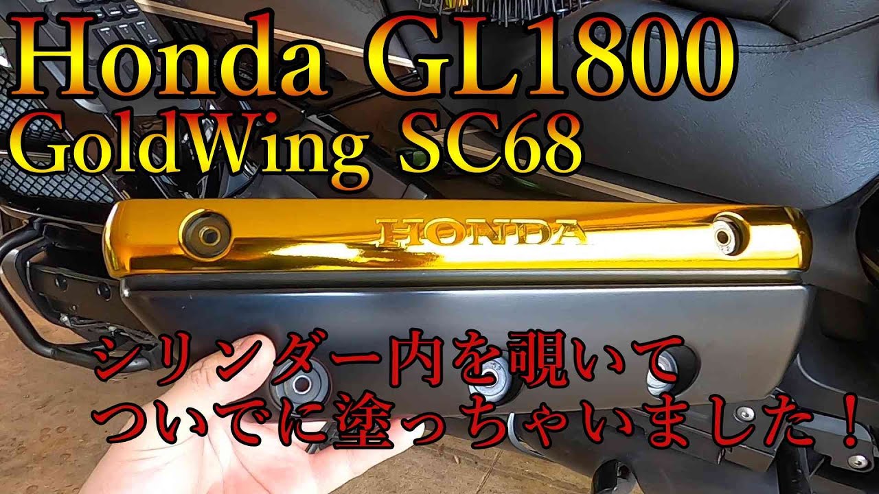 Honda GL1800 GoldWing ゴールドウィング SC68　スネークカメラでエンジン内部見ちゃいました！　おまけで塗装しました！　【モトブログ MotoVlog】　宮崎バイク