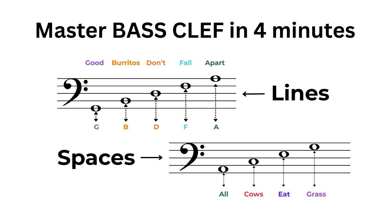 Learn the Notes on the Bass Clef Staff | Beginner Music Theory Lesson