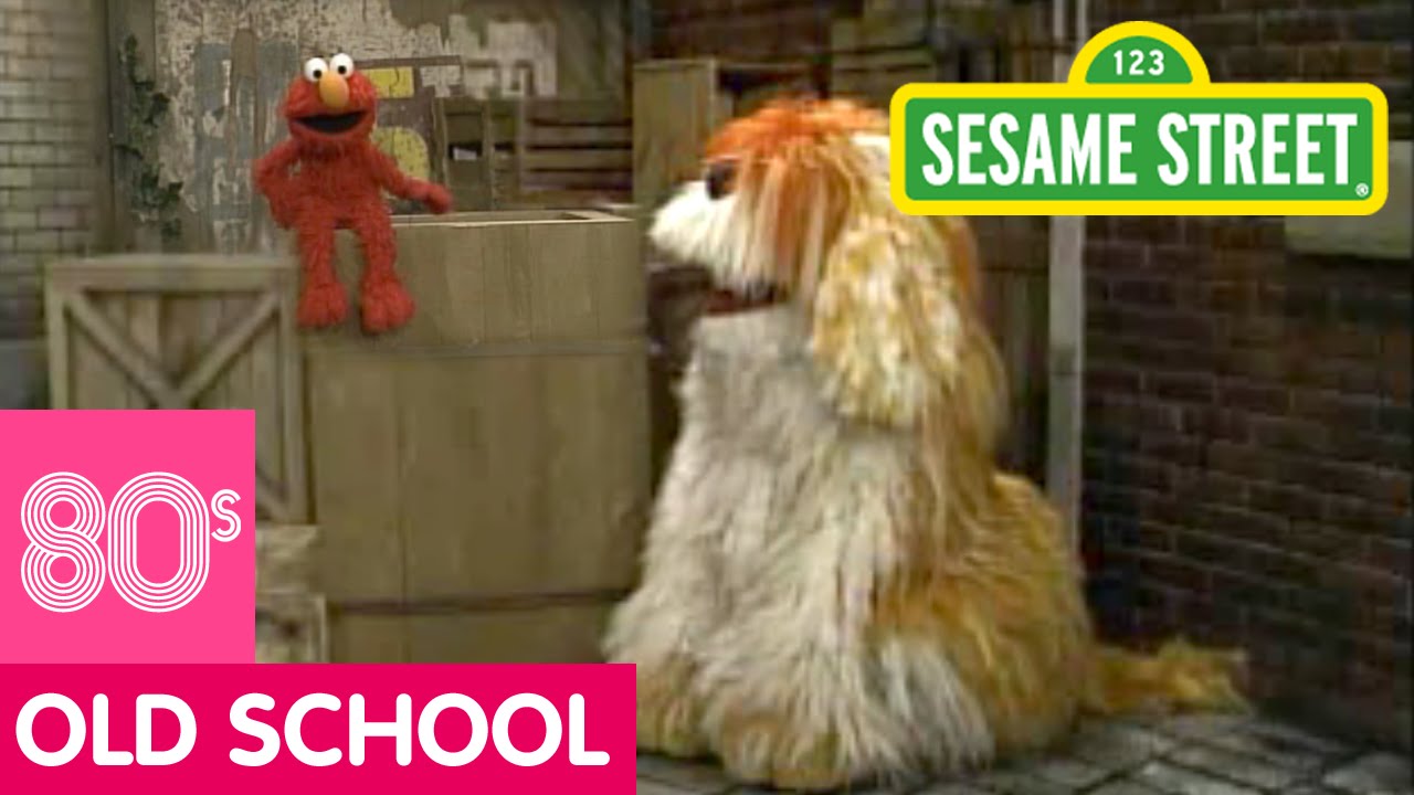 Sesame Street: Count Backwards with Elmo and Barkley