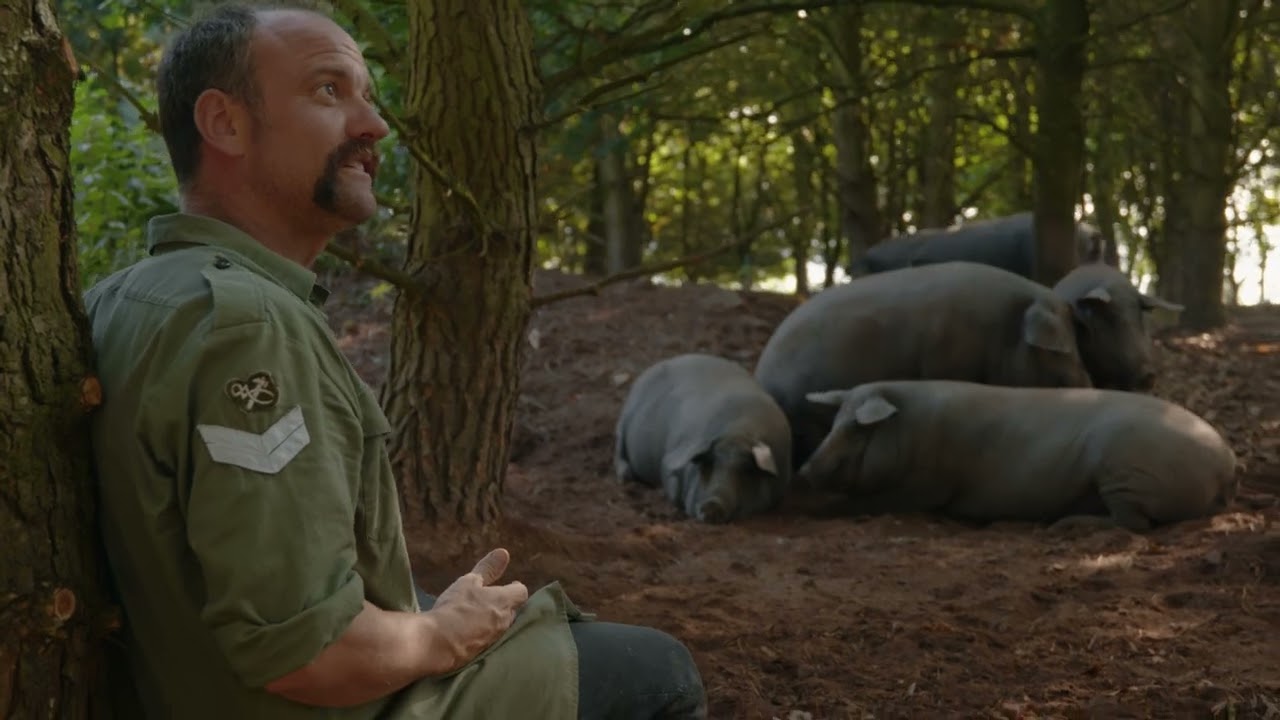 Iberico pigs with Brett Graham