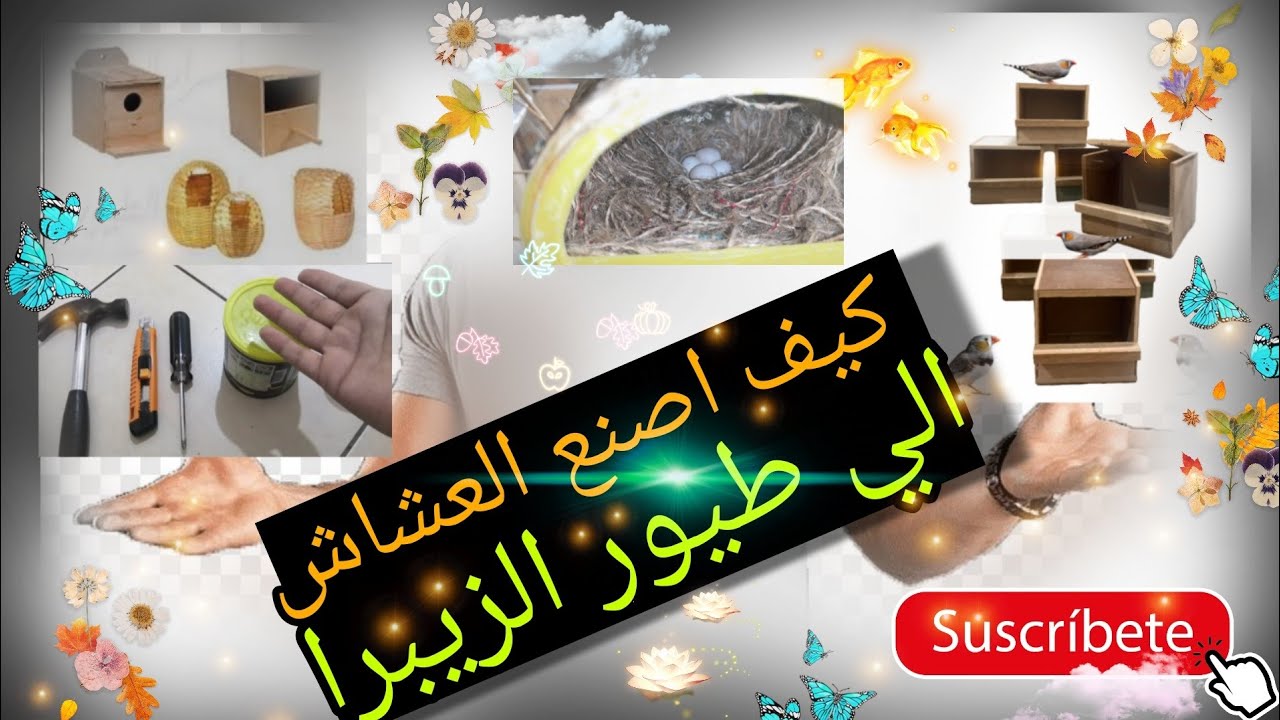 كيف اصنع العشاش !! الي طيور الفناجس😍 طريقه سهله🤔🐦