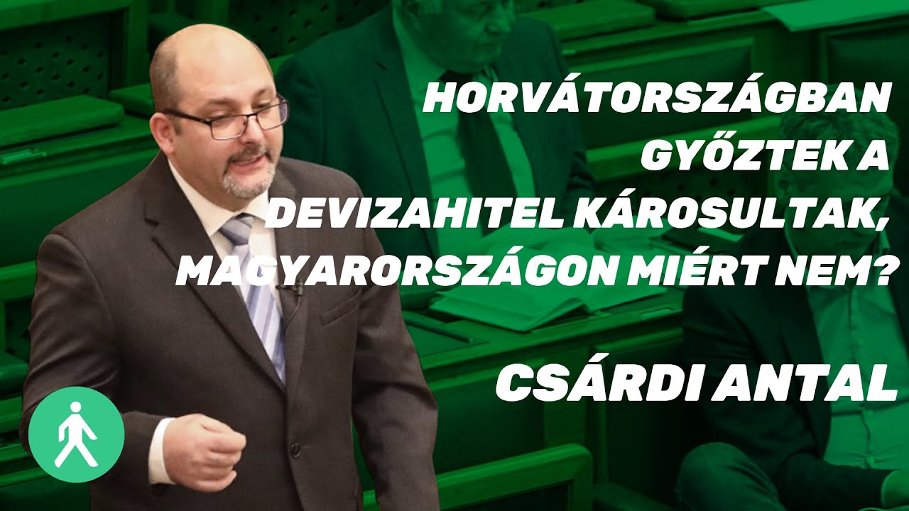 Csárdi Antal | a devizahitel károsultak győztek | LMP