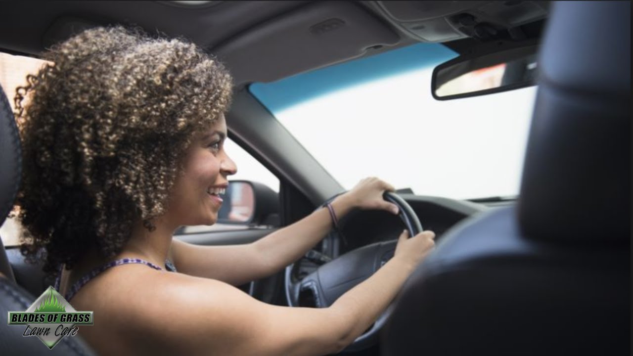 Driving in Savannah, Georgia | Abercorn St | Oddly Satisfying and Calming Video
