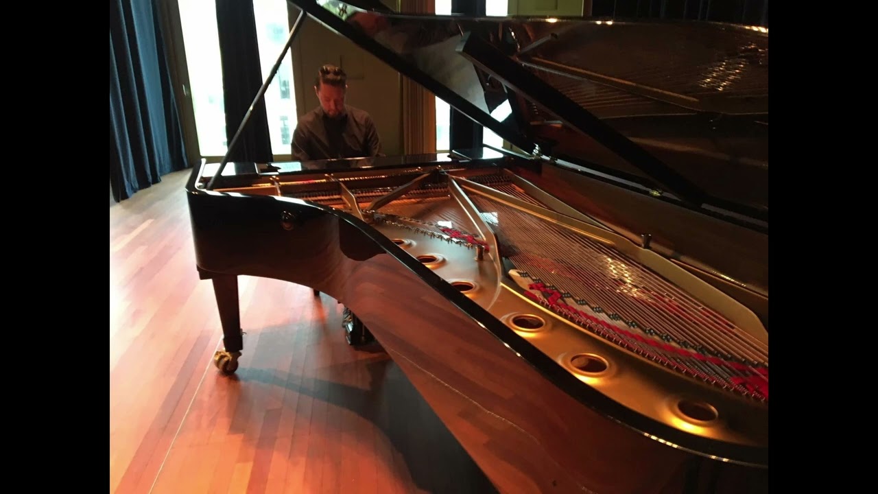 F.Chopin - Nocturne Op. 9 - 2