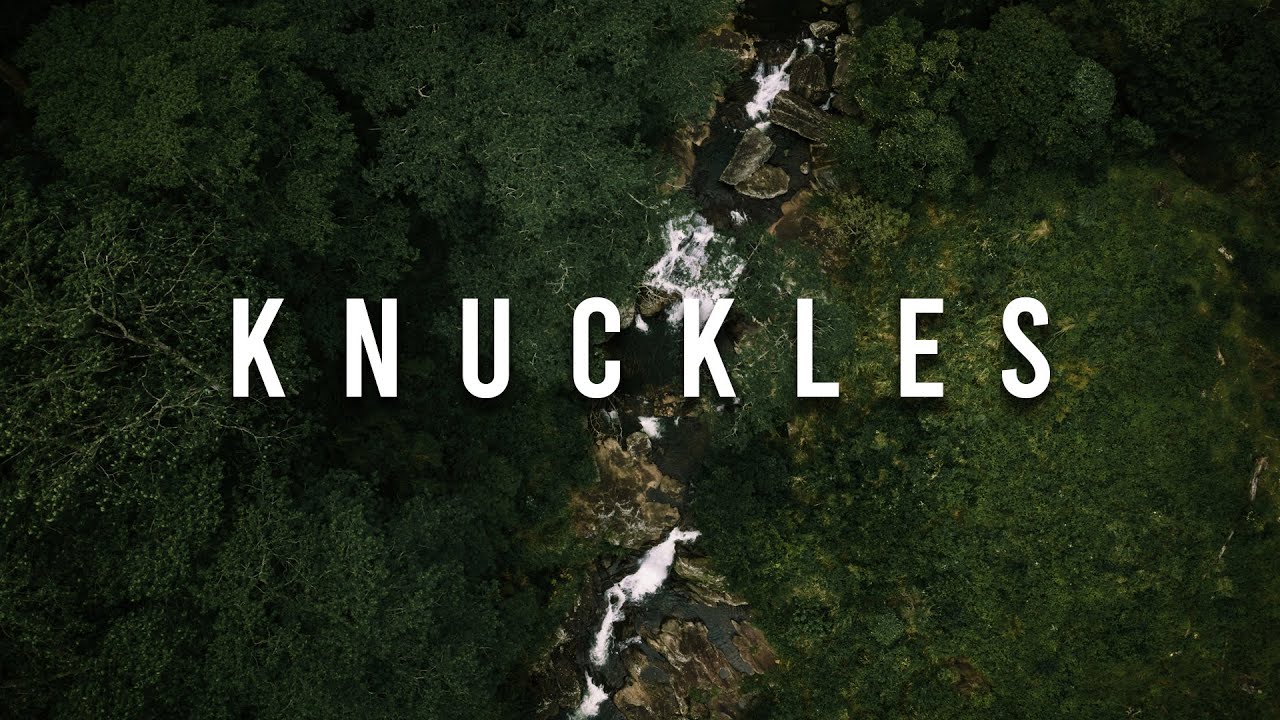 Knuckles &ndash; The Waterfall Hunt.