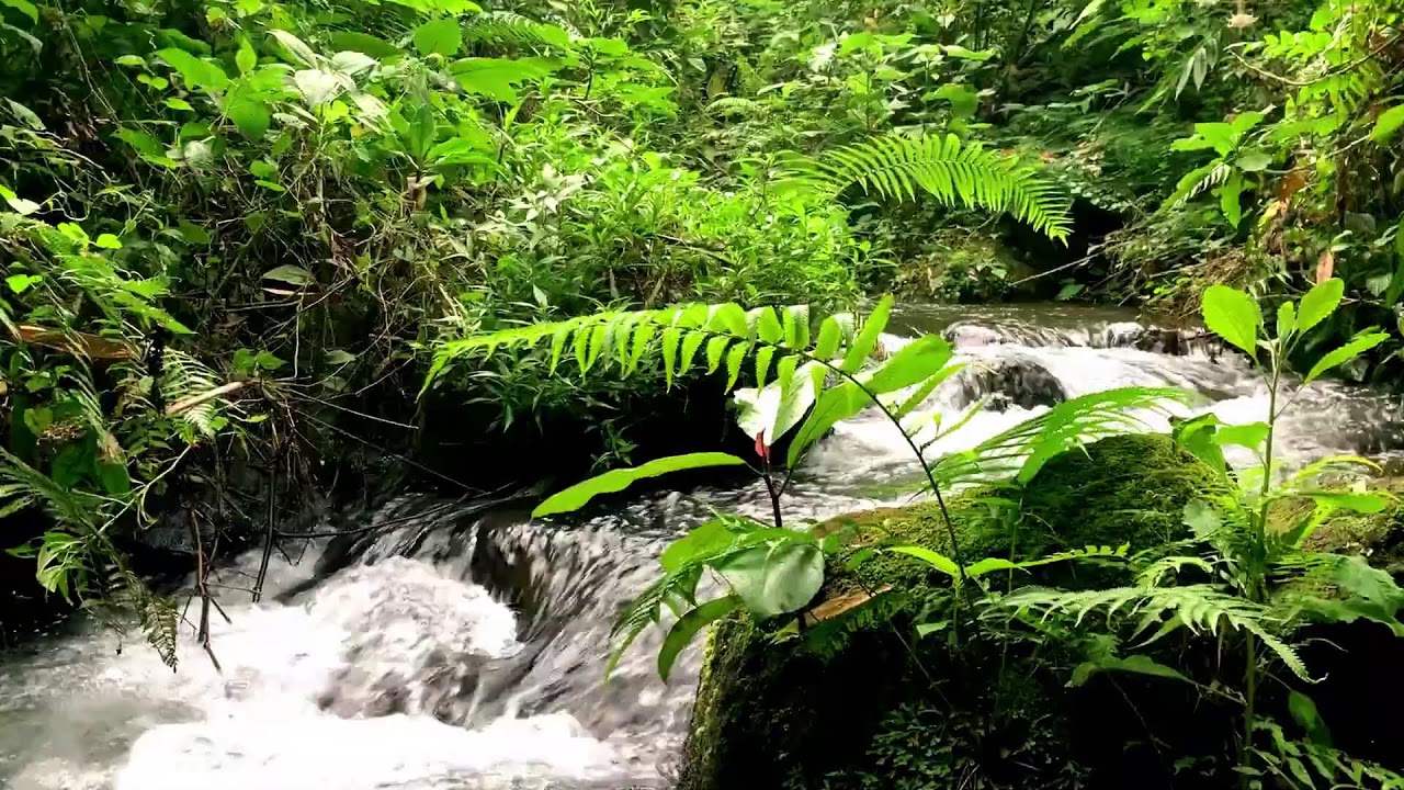 Mountain Stream Flow for Body Restoration, Massage