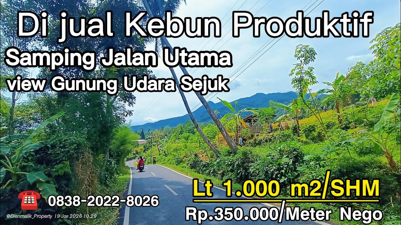 🌿 Dijual Kebun Produktif Pinggir Jalan Utama – View Gunung & Sungai Jernih, Lokasi Strategis 