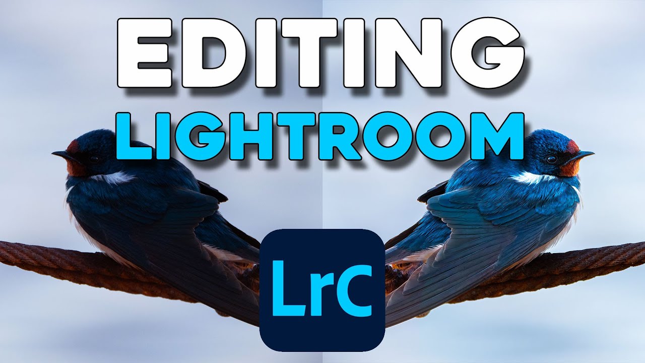 Workflow Post Produzione Foto | Lightroom - Denoise AI - Sharpen AI