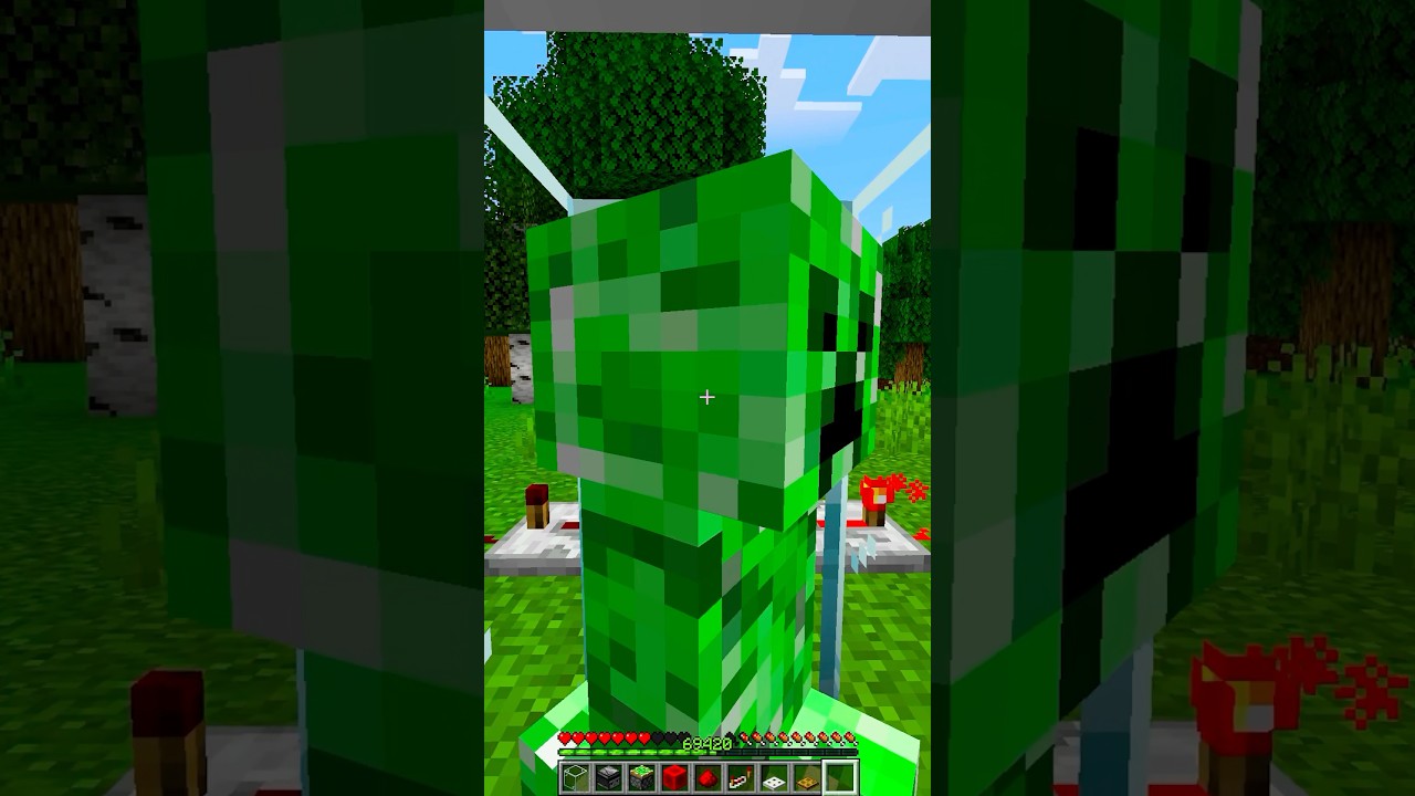 Minecraft Creeper Torture💀 #minecraft #shorts