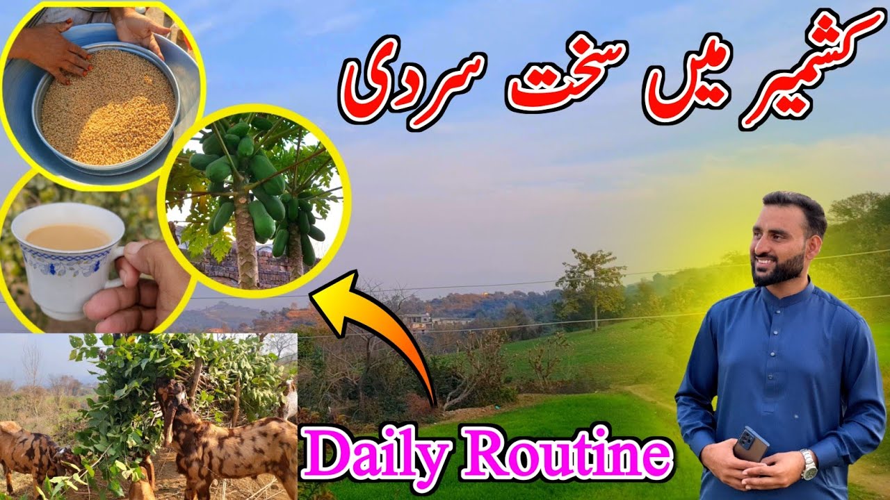 Extreme Cold 🥶 In Kashmir | Daily Routine